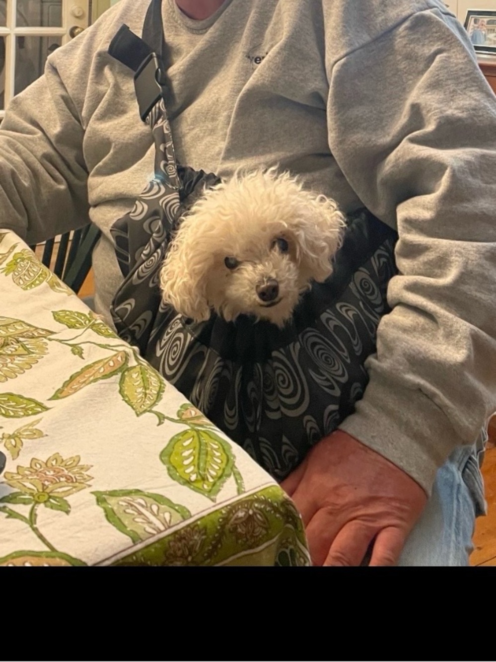 Outward Hound Gray dog carrier